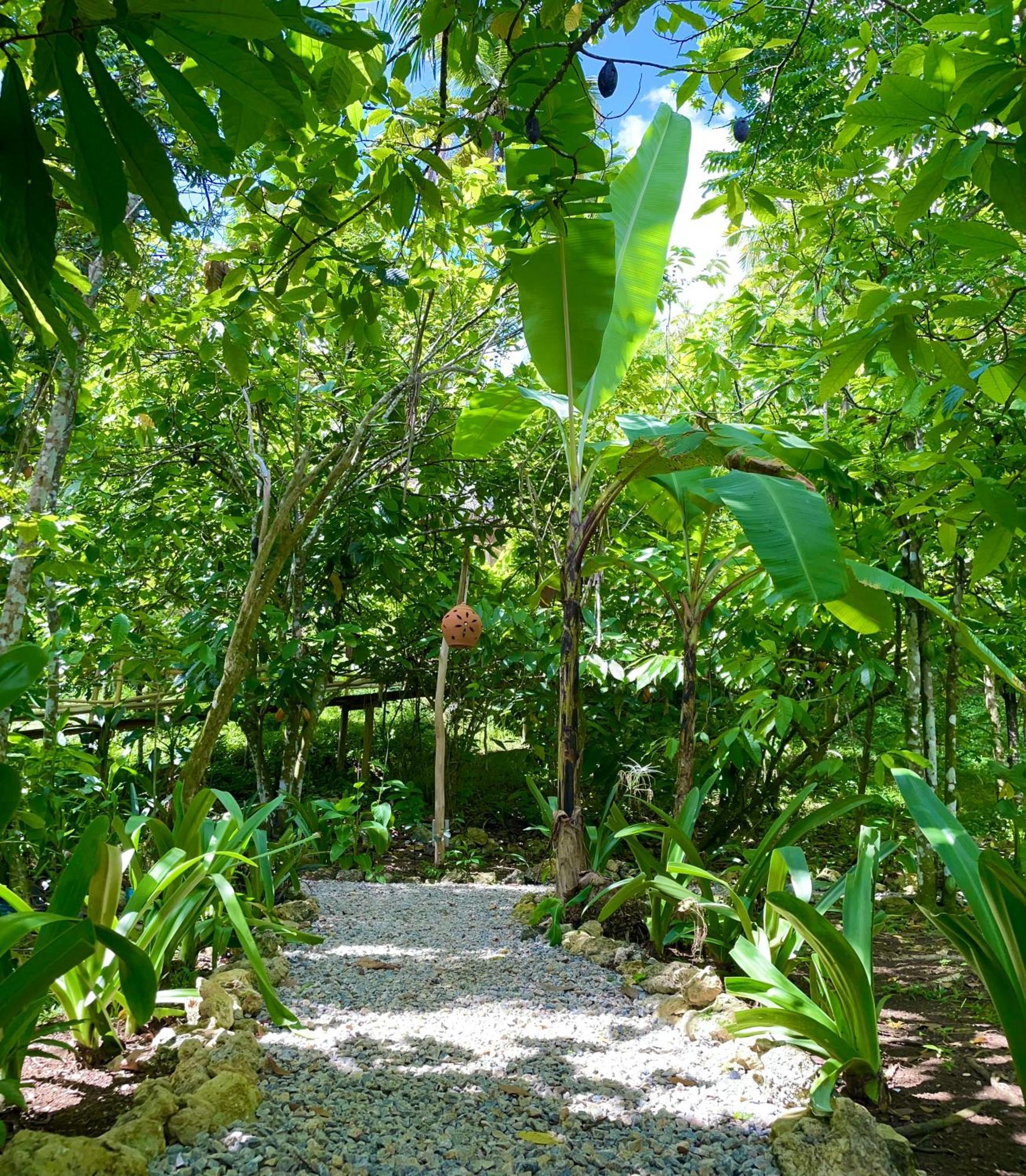 Rancho Romana Ecolodge Park V-01 El Limon Exterior foto